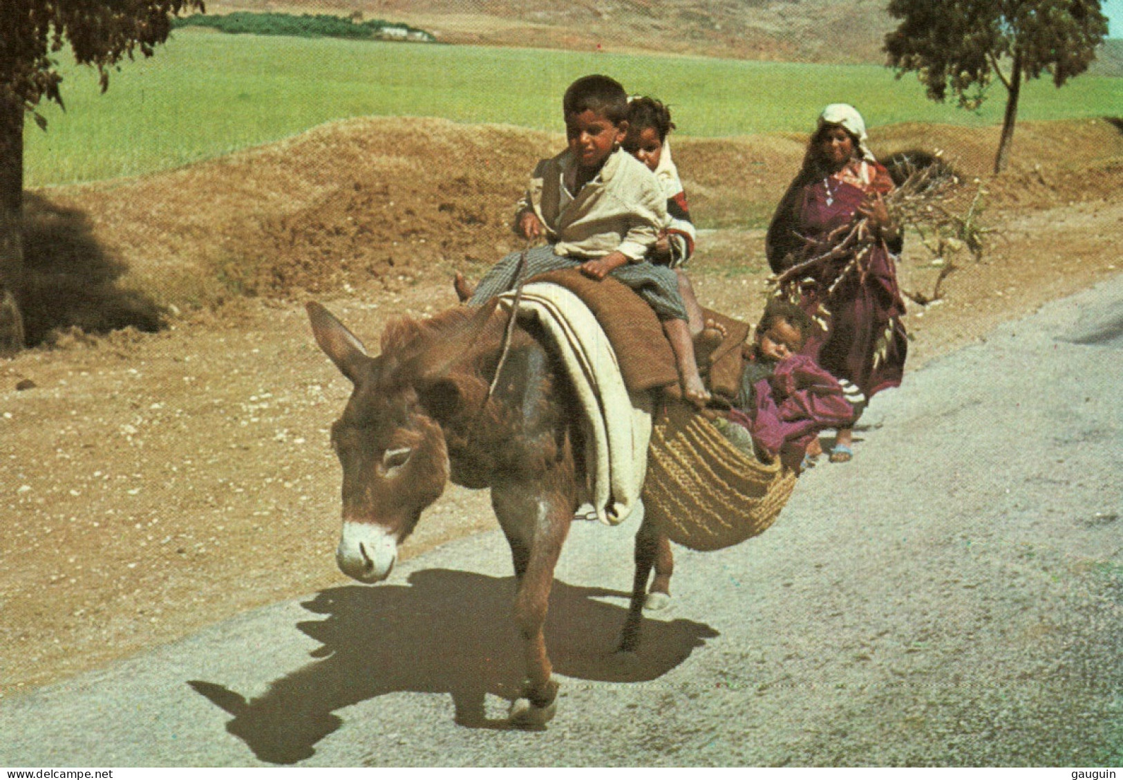 CPM - ÂNE - Attelage TUNISIE "Sur La Route De KAIROUAN"... Edition Tanit - Donkeys