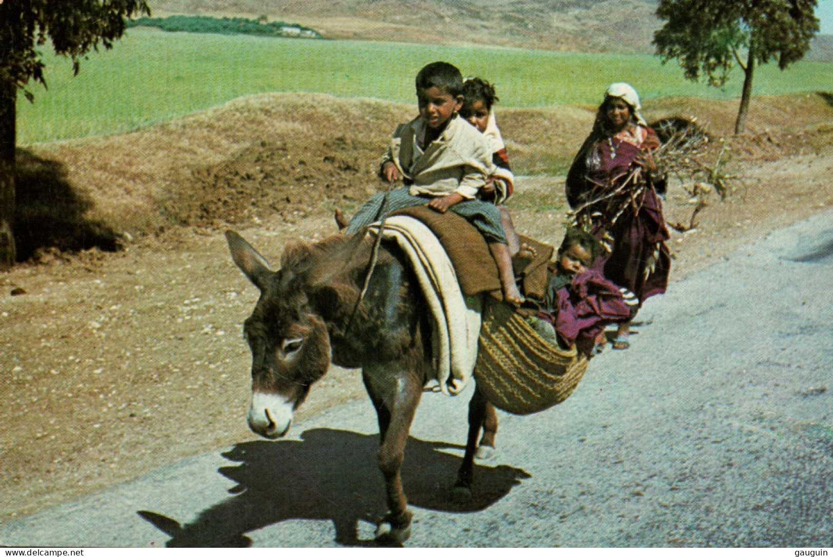 CPM - ÂNE - Attelage TUNISIE "Sur La Route De KAIROUAN"... Edition Tanit - Esel