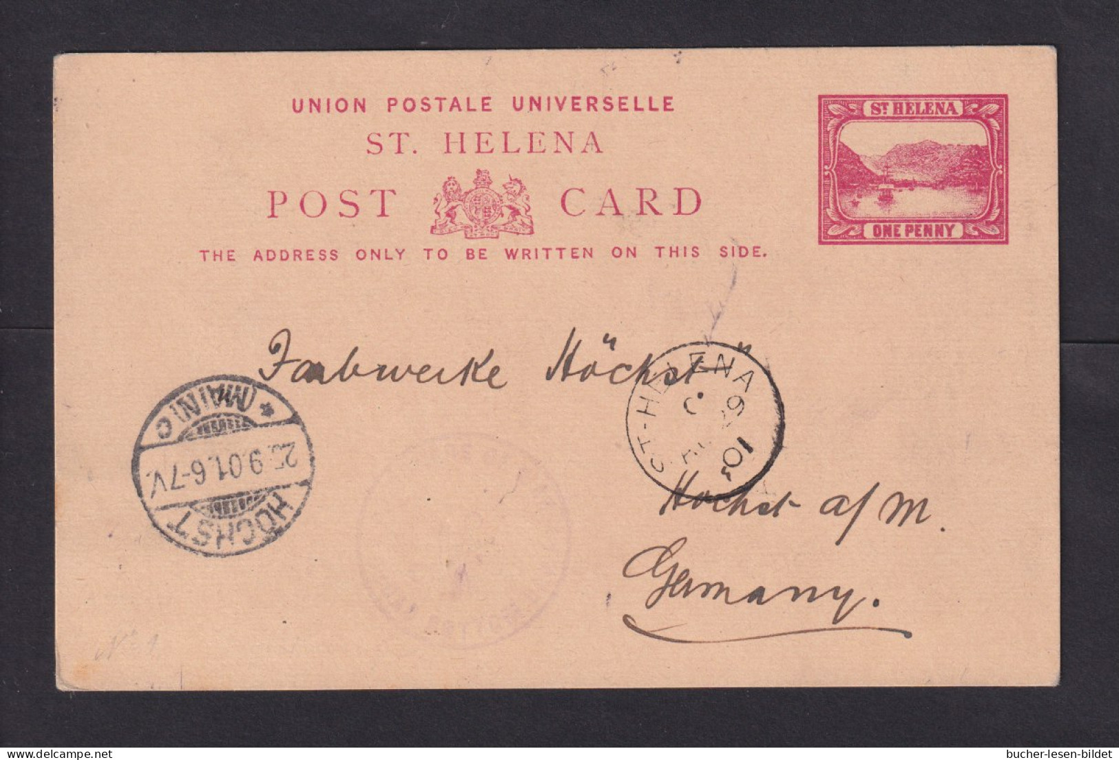 1901 - 1 P. Ganzsache Ab St. Helena Nach Deutschland - Zensurstempel Deadwood Camp - St. Helena
