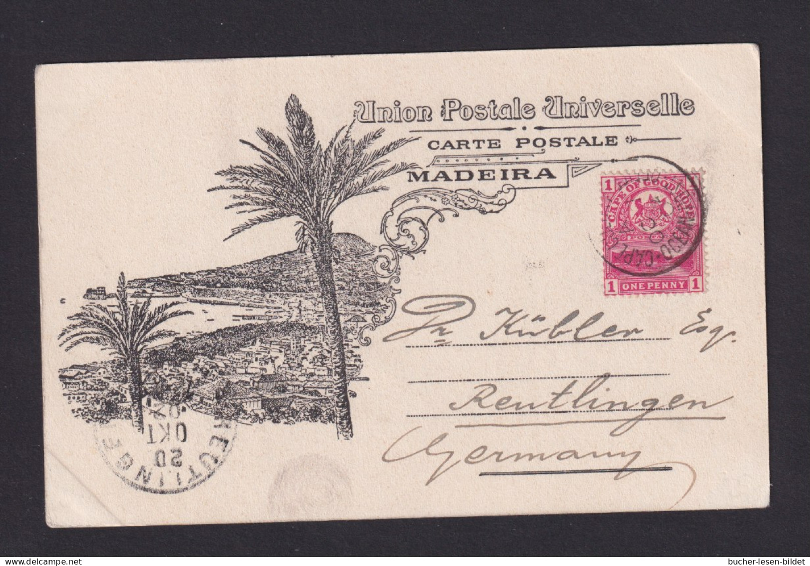 1902 - 1 P. Auf Karte Mit Aufgabestempel "Cape Colonie...Ocean Post Office" - Nach Reutlingen - Kap Der Guten Hoffnung (1853-1904)