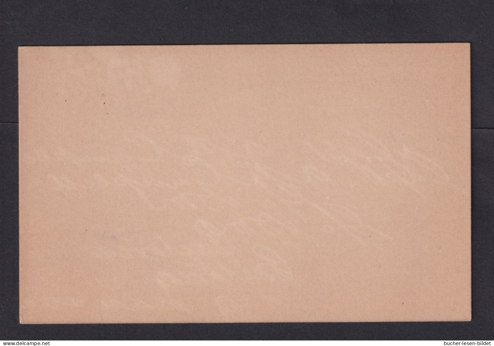 1 P. (klein) Überdruck-Ganzsache (P 5) - Ungebraucht - Estado Libre De Orange (1868-1909)