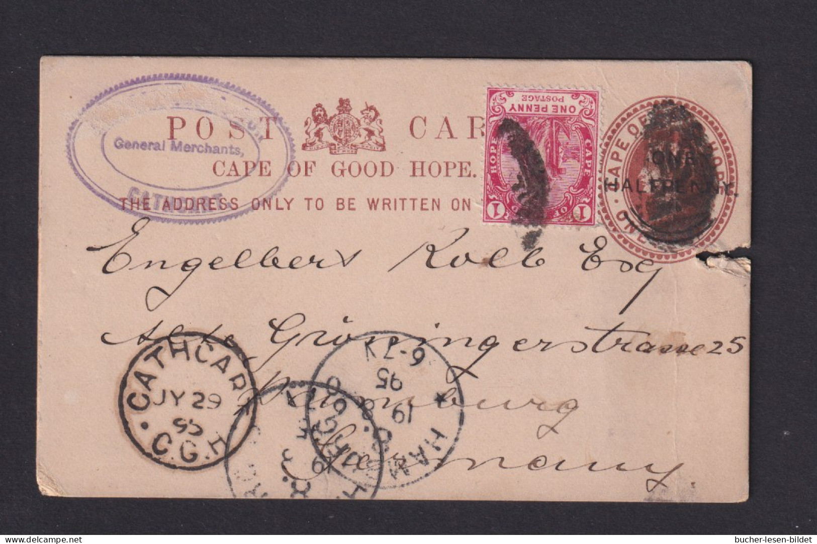 1895 - 1/2 P. Überdruck-Ganzsache Mit Zufrankatur Ab CATHCART Nach Deutschland - Mängel - Kaap De Goede Hoop (1853-1904)