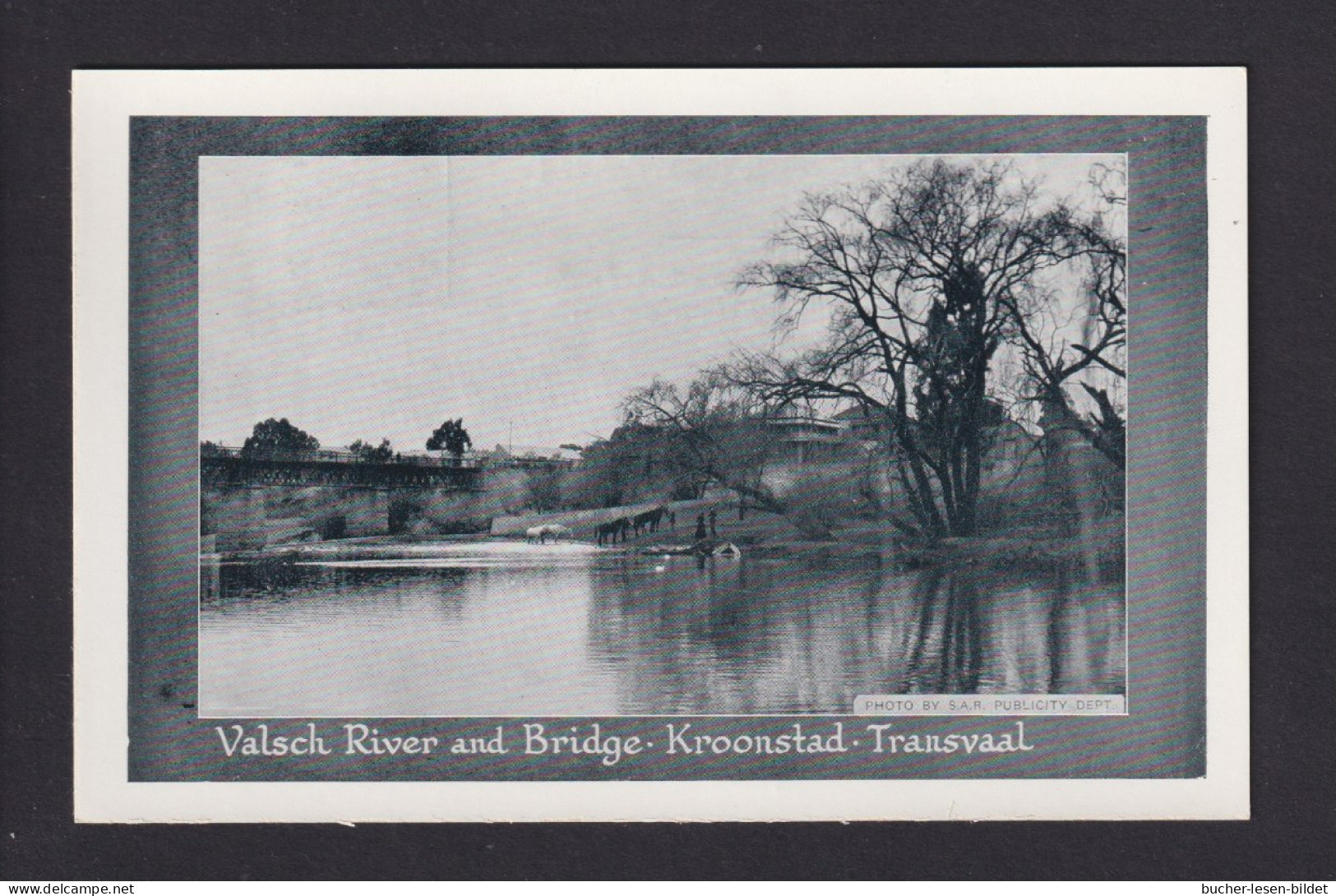 1/2 P. Bild-Ganzsache "Valsch River And Bridge Kroonstad" - Ungebraucht - Brieven En Documenten