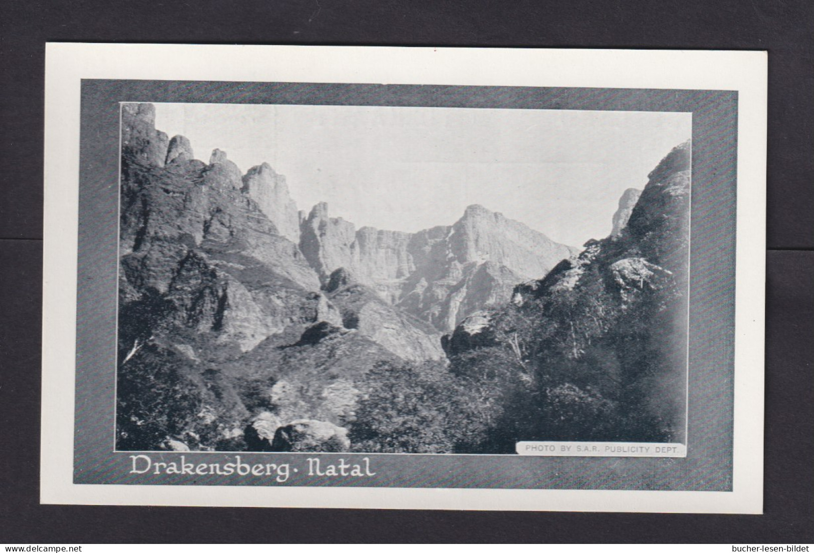 1/2 P. Bild-Ganzsache "Drakensberg" - Ungebraucht - Briefe U. Dokumente