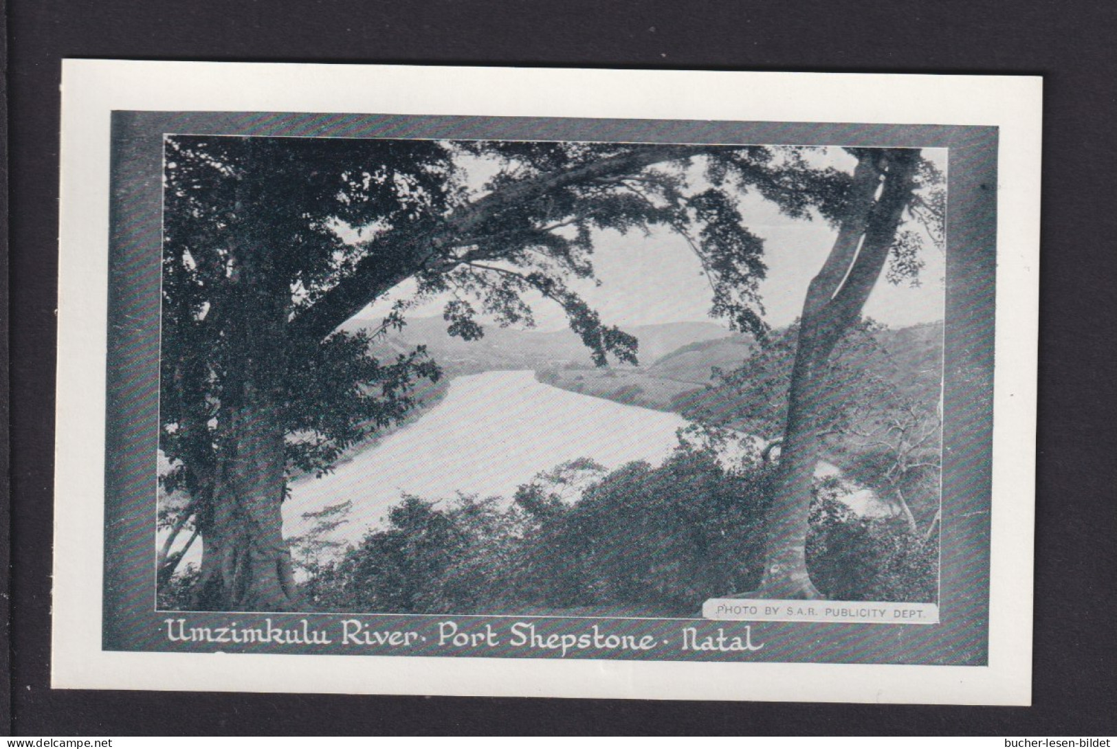 1/2 P. Bild-Ganzsache "Umzimkulu River Port Shepstone" - Ungebraucht - Lettres & Documents