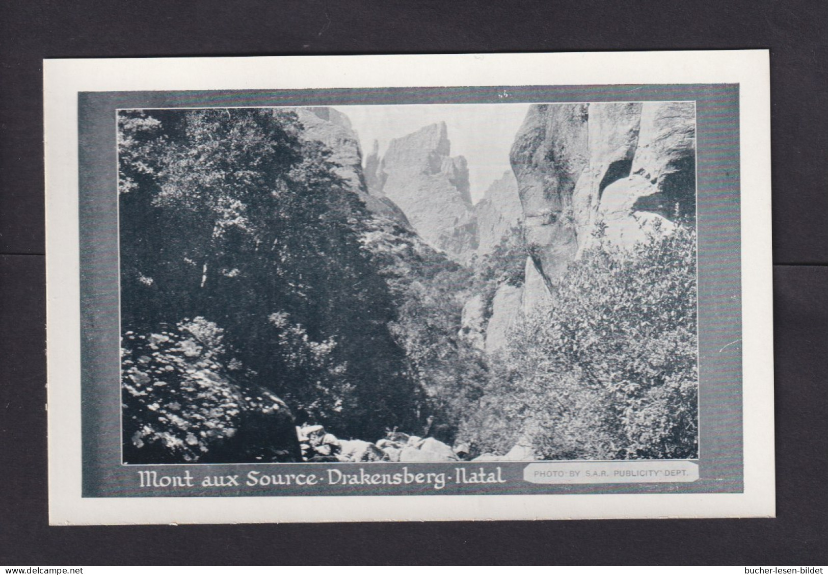 1/2 P. Bild-Ganzsache "Mont Aux Source Drakensberg" - Ungebraucht - Lettres & Documents