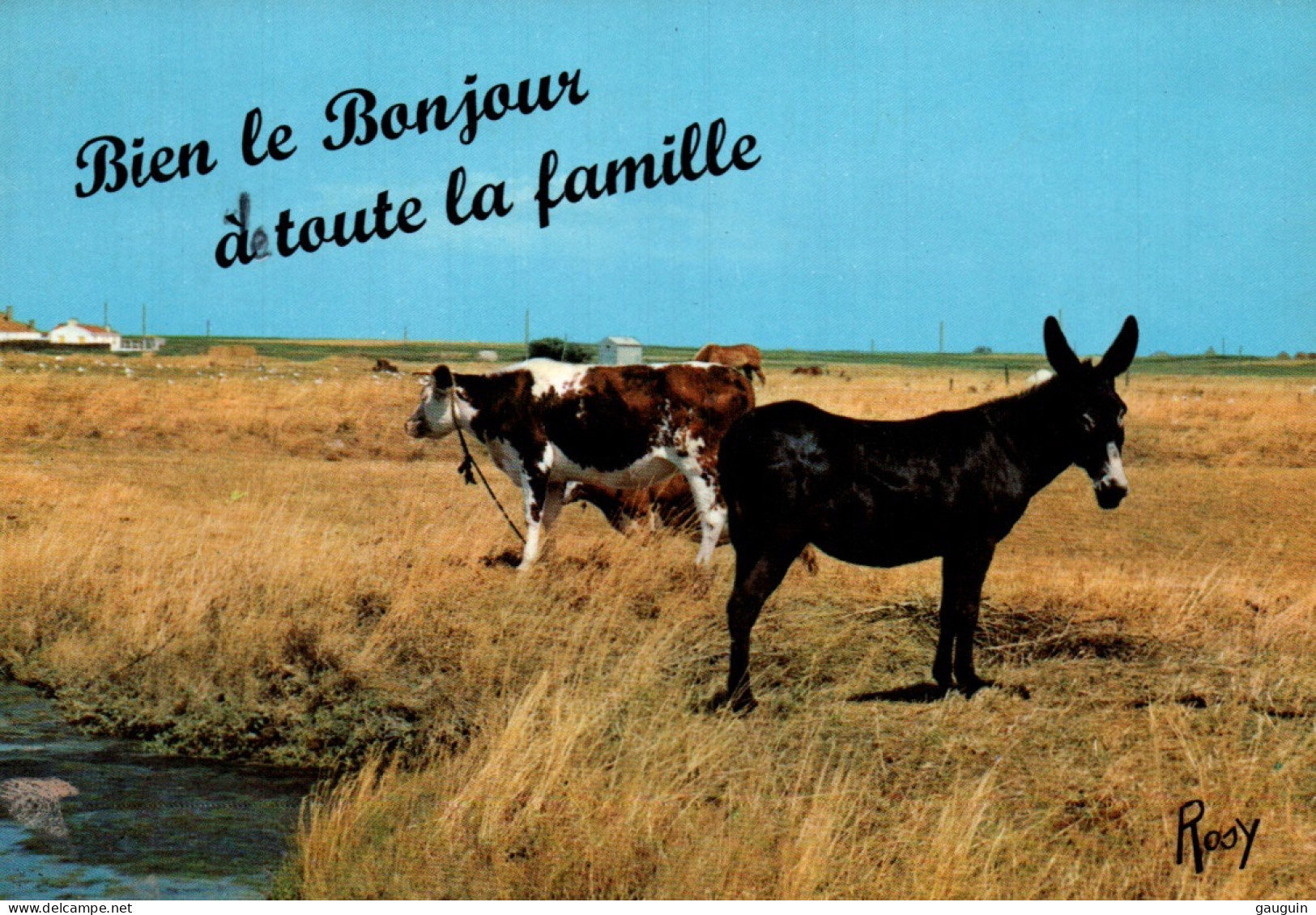 CPSM - ÂNE - Carte Humour ... Edition F.Chapeau - Donkeys