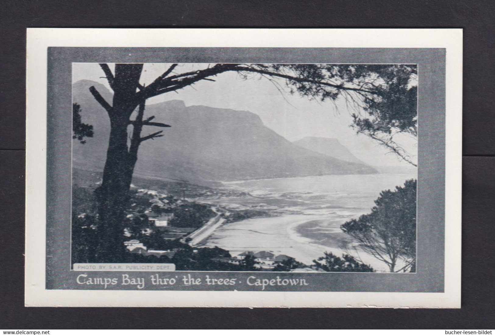 1/2 P. Bild-Ganzsache "Camps Bay Thro The Trees" - Ungebraucht - Covers & Documents