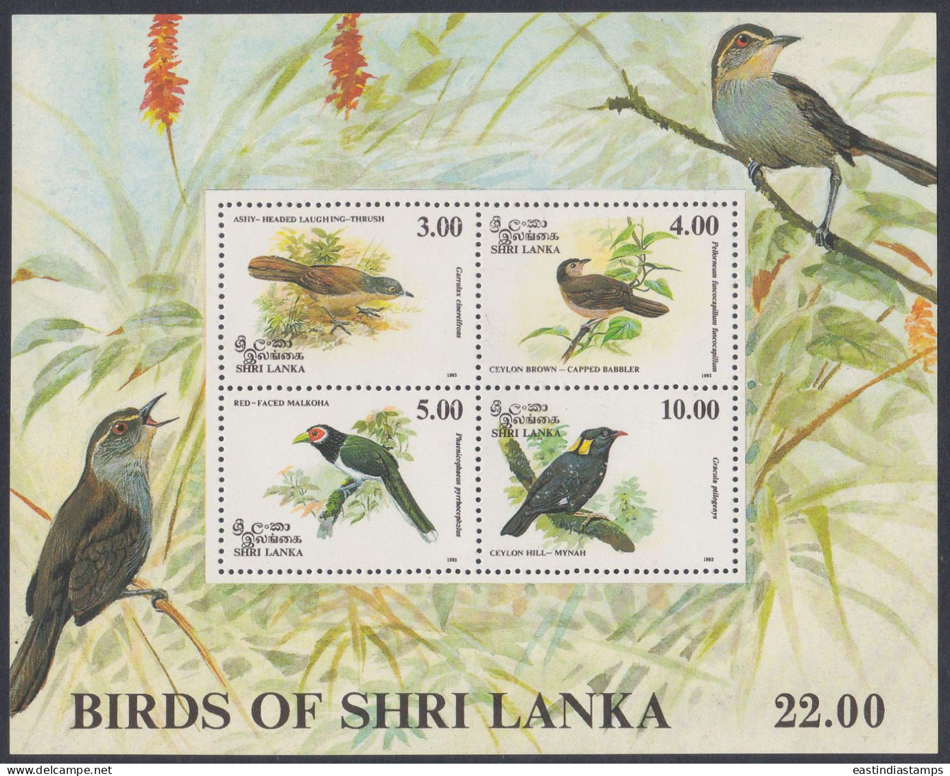 Sri Lanka 1993 MNH MS Birds, Bird, Laughing Thrush, Babbler, Mynah, Malkoha, Miniature Sheet - Sri Lanka (Ceylon) (1948-...)