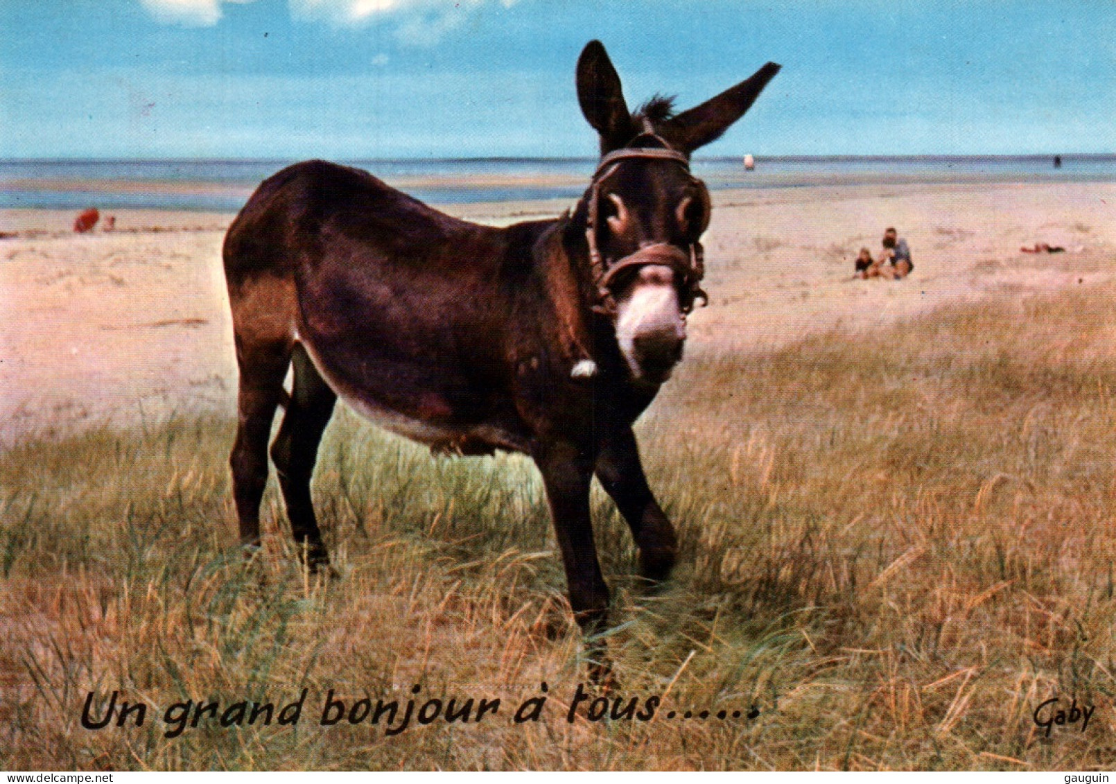 CPM - ÂNE - Carte Humour ... Edition Artaud - Esel