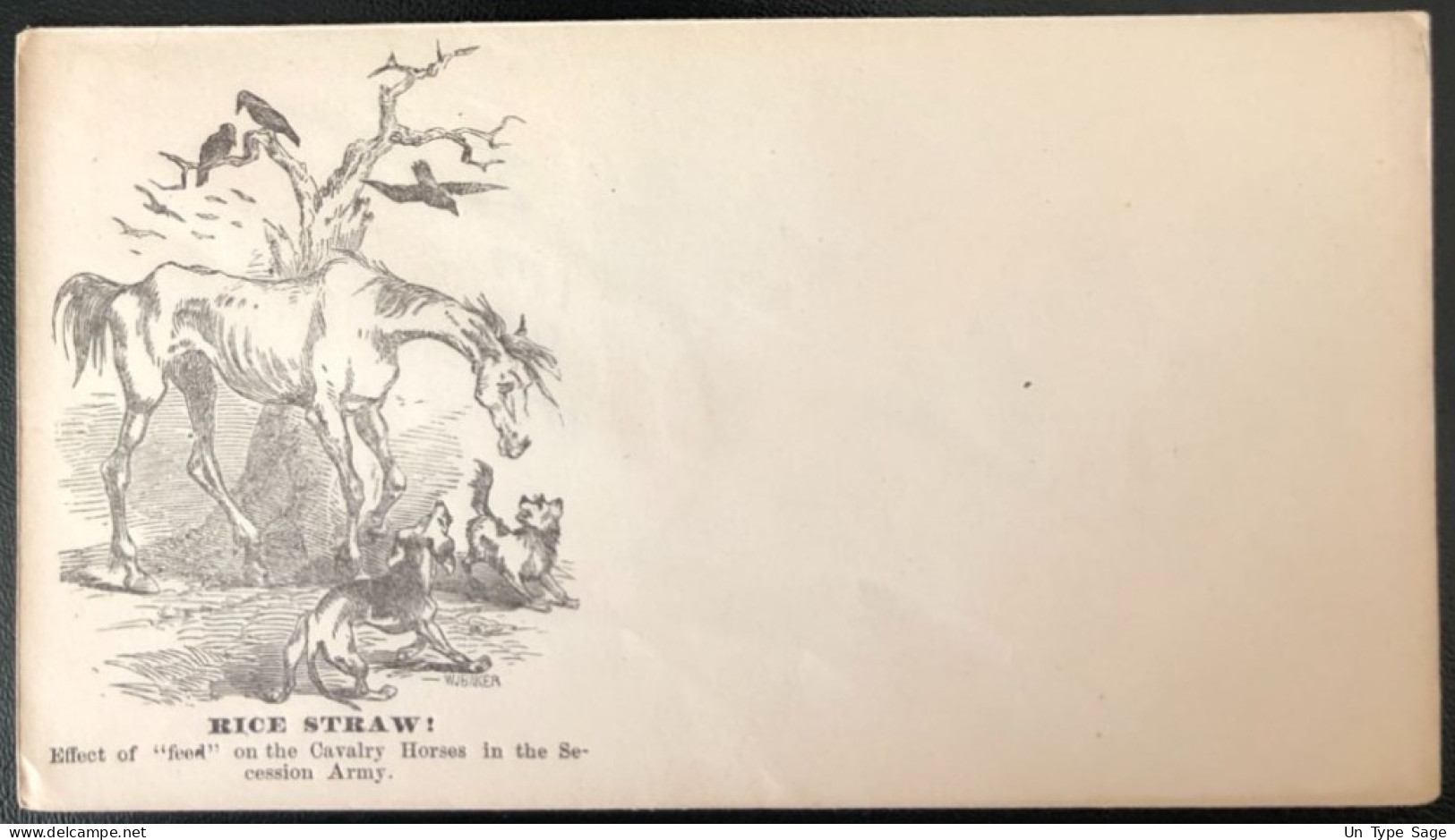 U.S.A, Civil War, Patriotic Cover - "Rice Straw !" - Unused - (C449) - Marcophilie