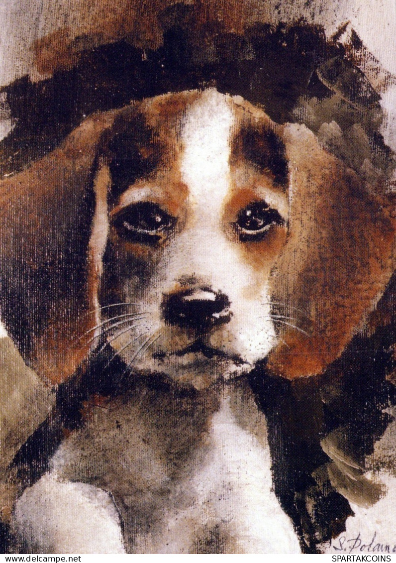 PERRO Animales Vintage Tarjeta Postal CPSM #PAN943.A - Hunde
