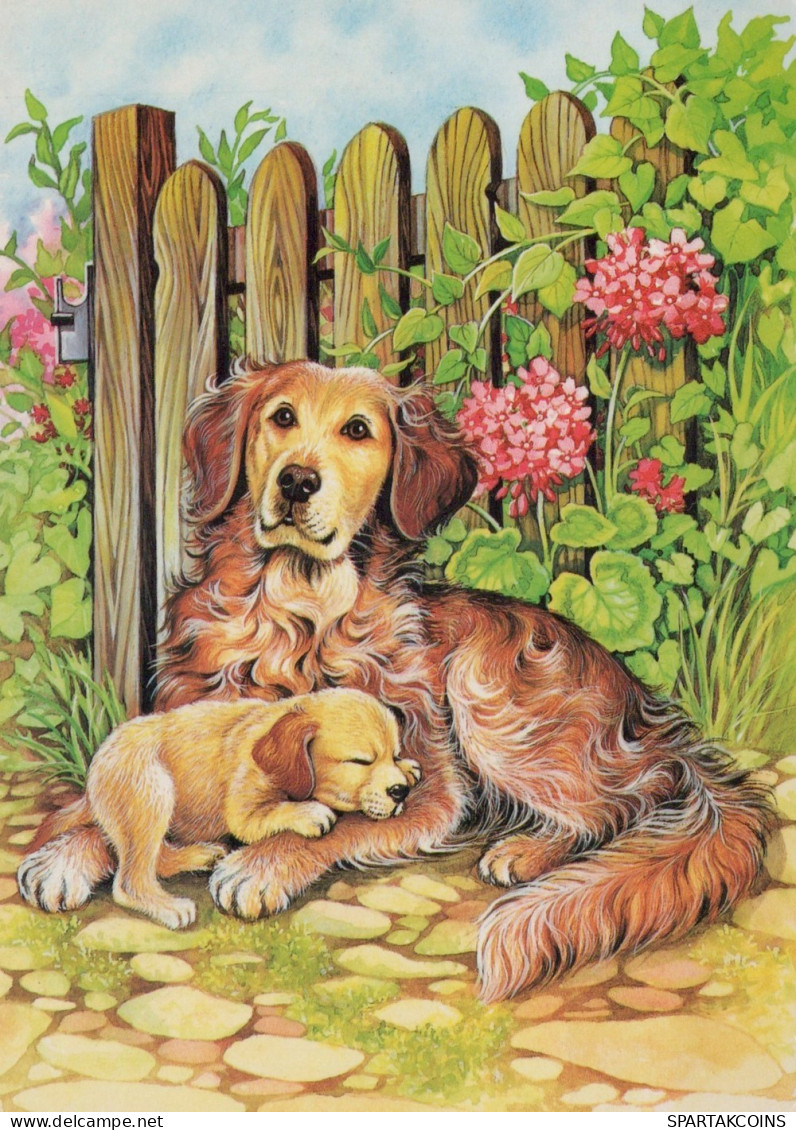 DOG Animals Vintage Postcard CPSM #PAN772.A - Hunde