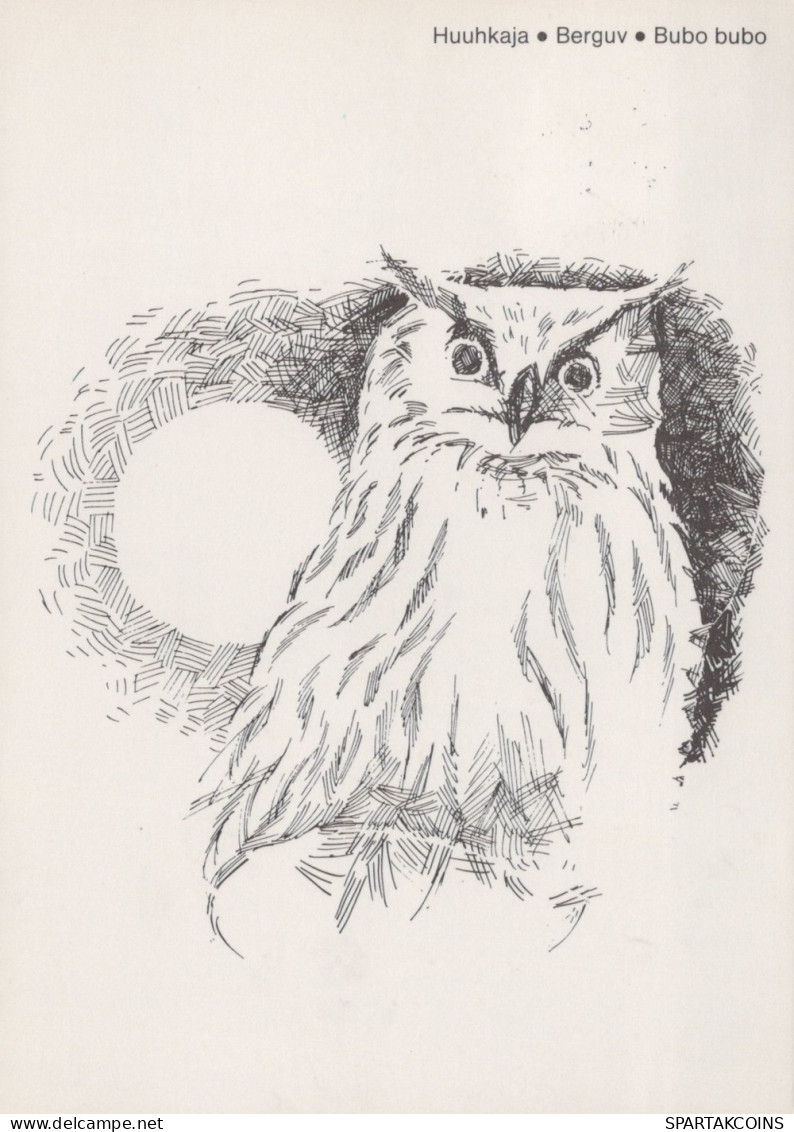 VOGEL Tier Vintage Ansichtskarte Postkarte CPSM #PAN261.A - Oiseaux