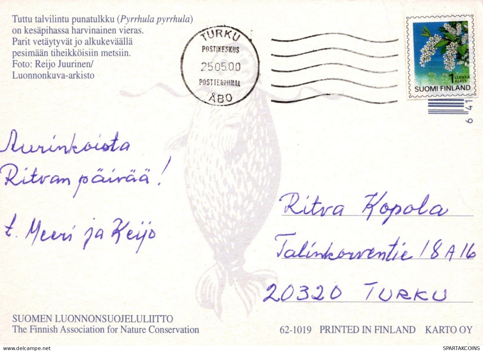 BIRD Animals Vintage Postcard CPSM #PAN157.A - Oiseaux