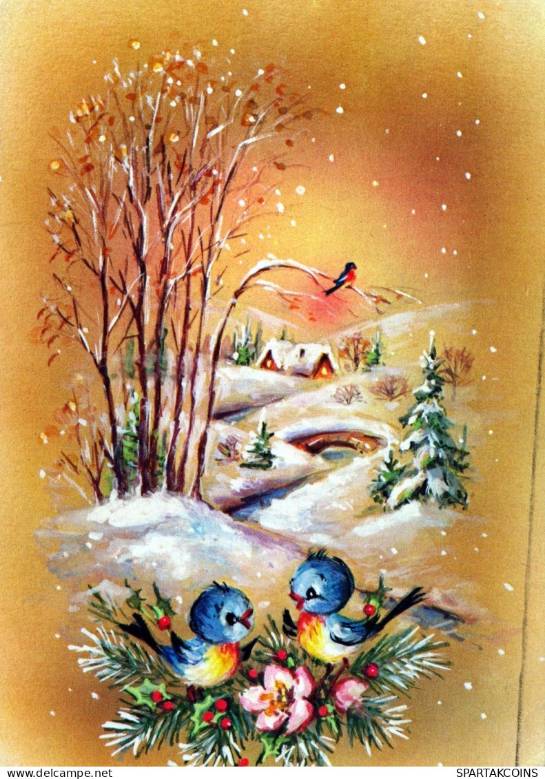 UCCELLO Animale Vintage Cartolina CPSM #PAM968.A - Vögel