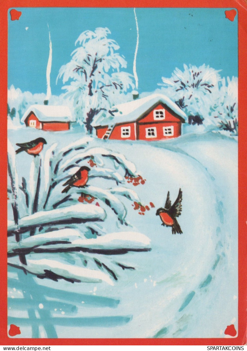 VOGEL Tier Vintage Ansichtskarte Postkarte CPSM #PAM880.A - Oiseaux