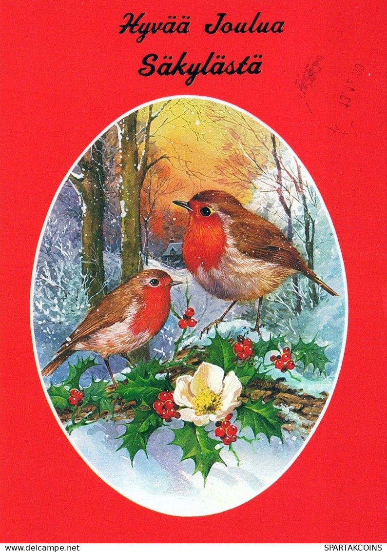 BIRD Animals Vintage Postcard CPSM #PAM936.A - Oiseaux