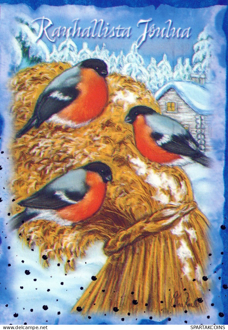 BIRD Animals Vintage Postcard CPSM #PAM876.A - Oiseaux