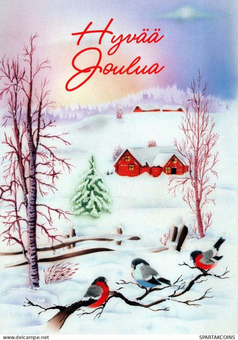 VOGEL Tier Vintage Ansichtskarte Postkarte CPSM #PAM860.A - Oiseaux