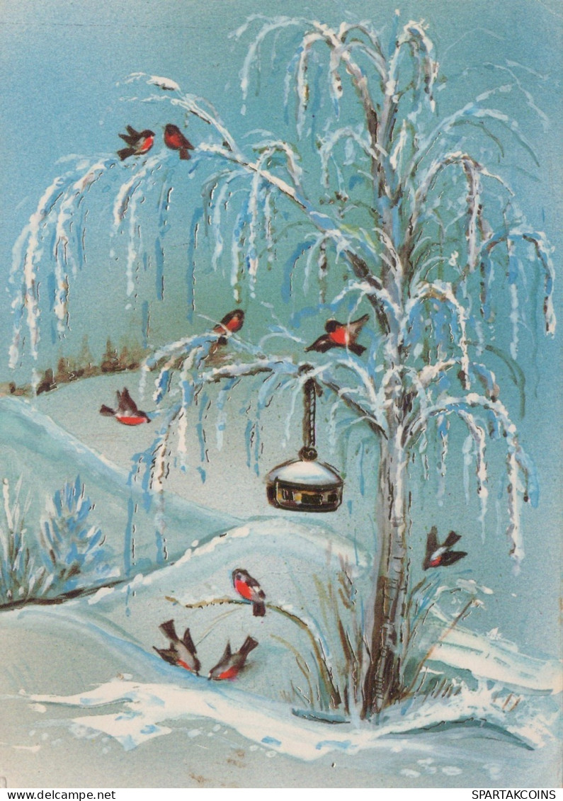 OISEAU Animaux Vintage Carte Postale CPSM #PAM764.A - Oiseaux
