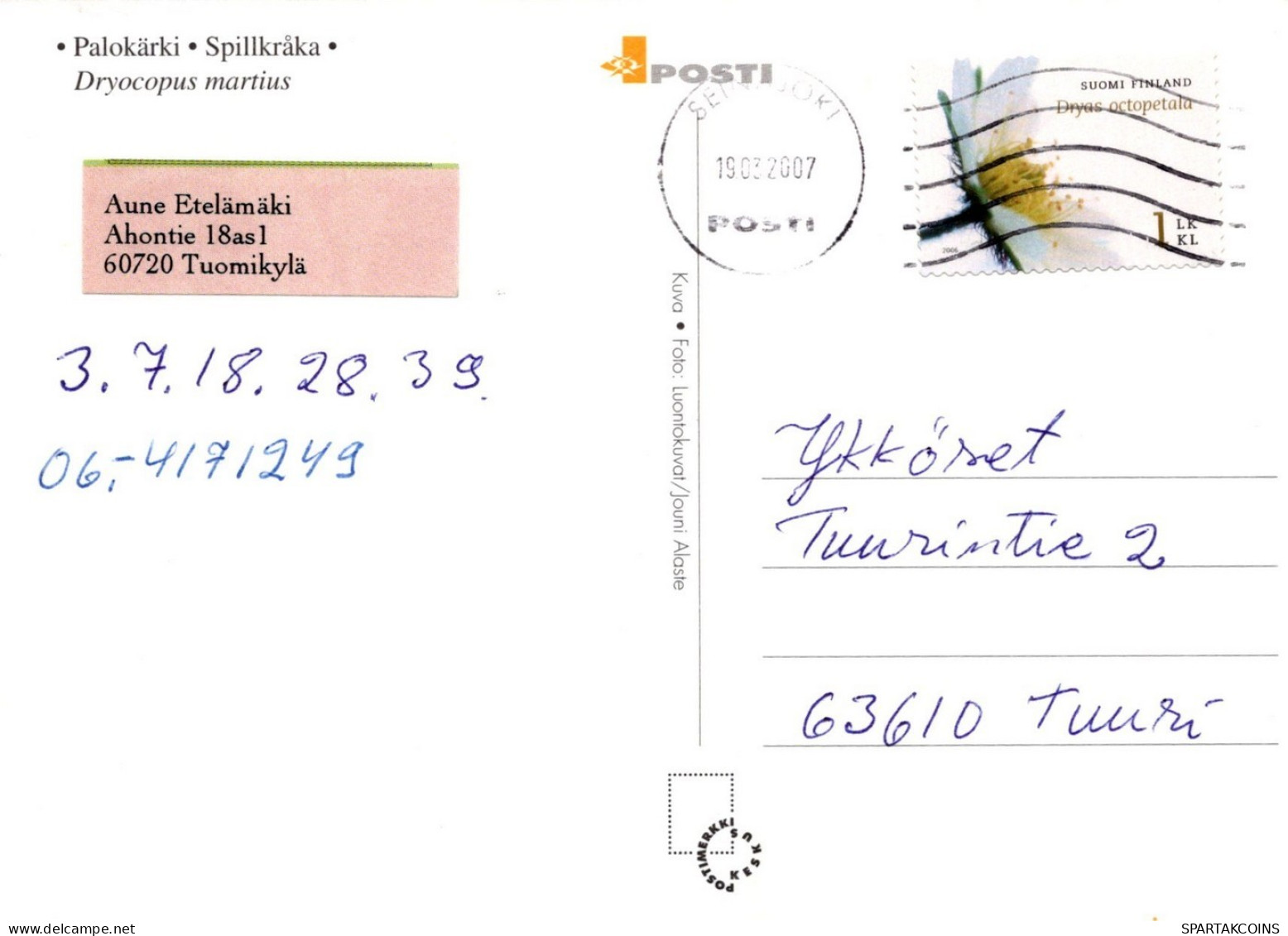 PÁJARO Animales Vintage Tarjeta Postal CPSM #PAM712.A - Vögel
