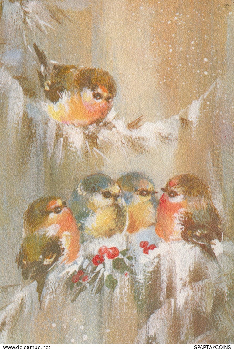 VOGEL Tier Vintage Ansichtskarte Postkarte CPSM #PAM800.A - Vögel