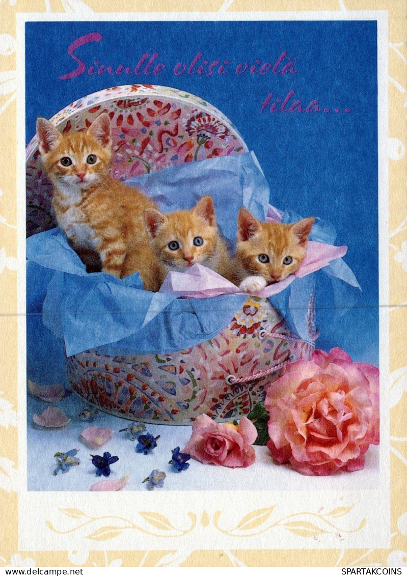 GATO GATITO Animales Vintage Tarjeta Postal CPSM #PAM402.A - Cats