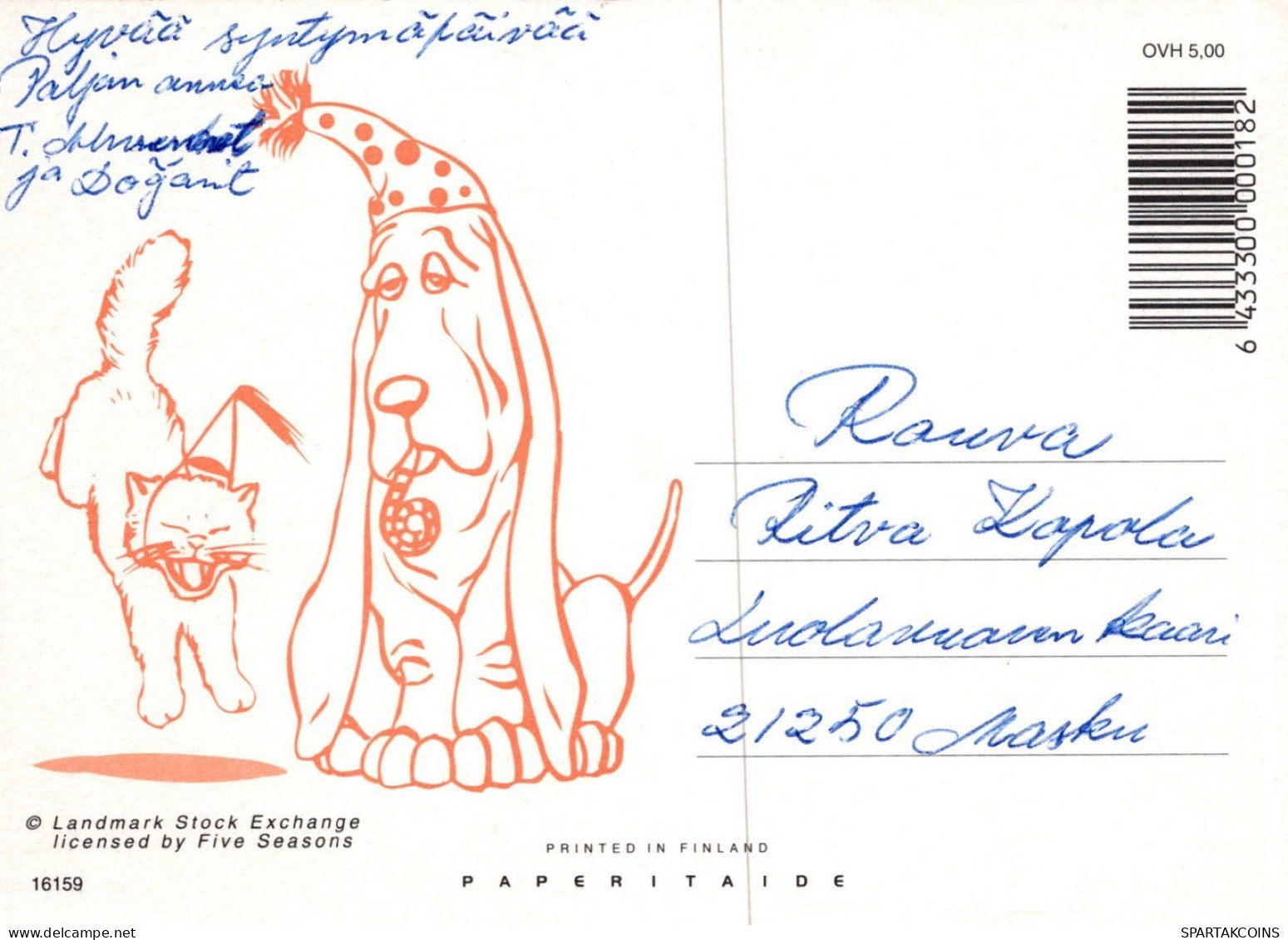 GATO GATITO Animales Vintage Tarjeta Postal CPSM #PAM342.A - Chats