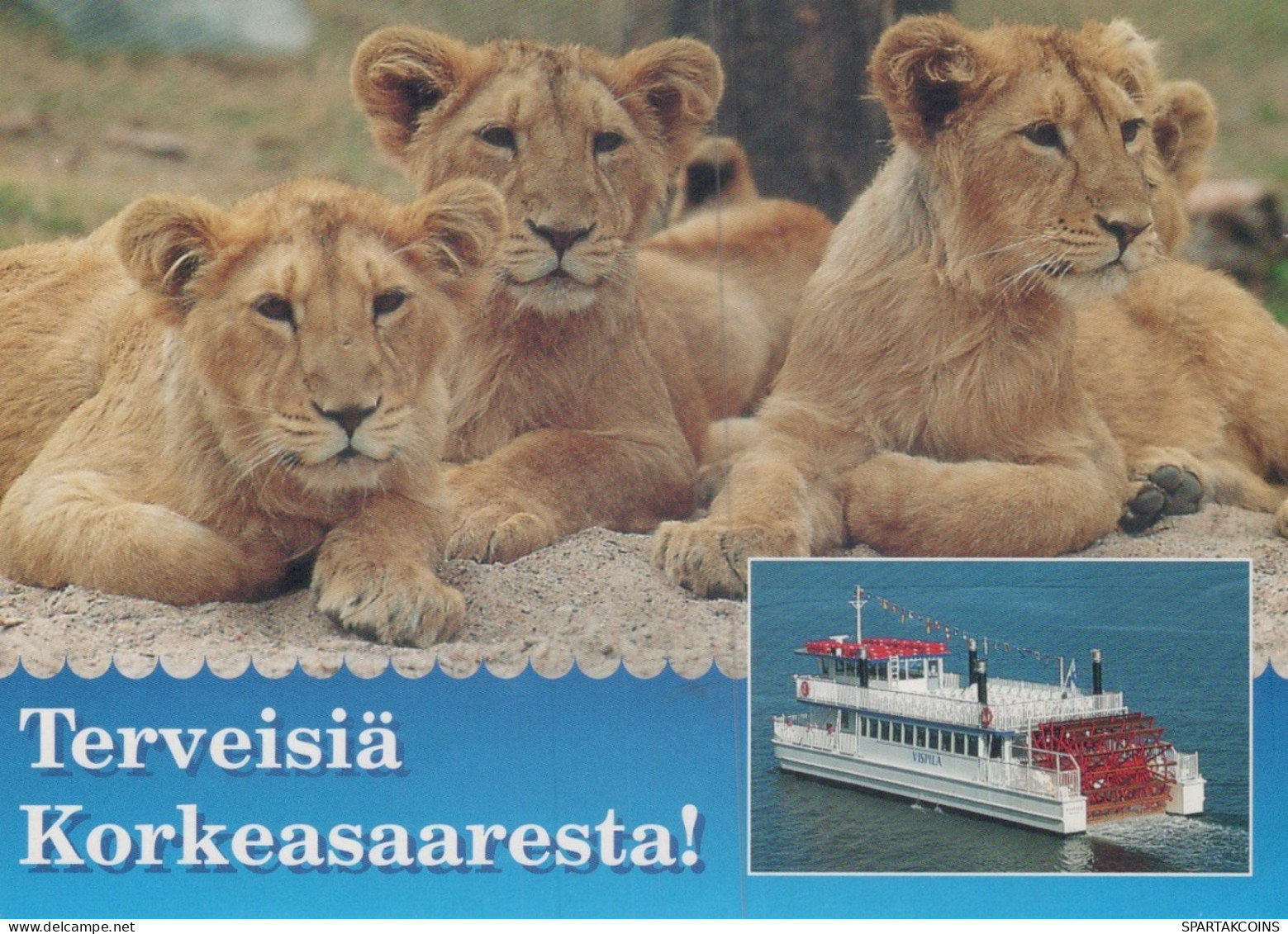 LION GROS CHAT Animaux Vintage Carte Postale CPSM Unposted #PAM004.A - Löwen