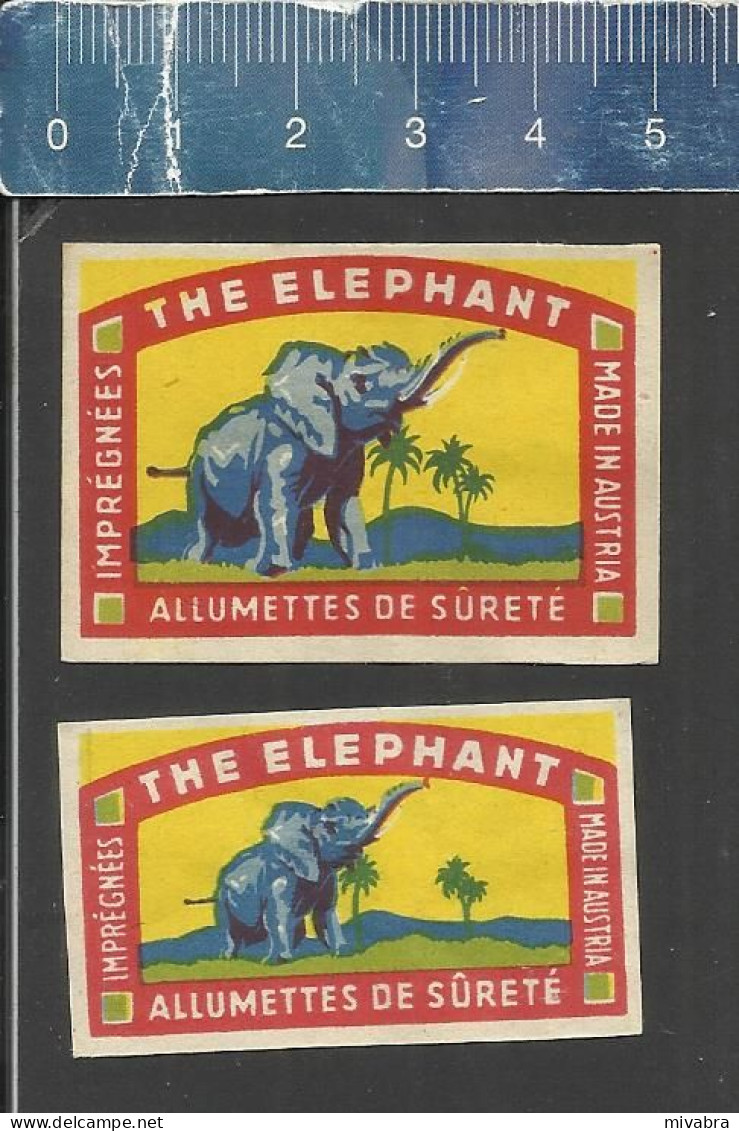 THE ELEPHANT  ALLUMETTES DE SÛRETÉ - IMPRÉGNÉES - MADE IN AUSTRIA - OLD EXPORT MATCHBOX LABELS - Luciferdozen - Etiketten