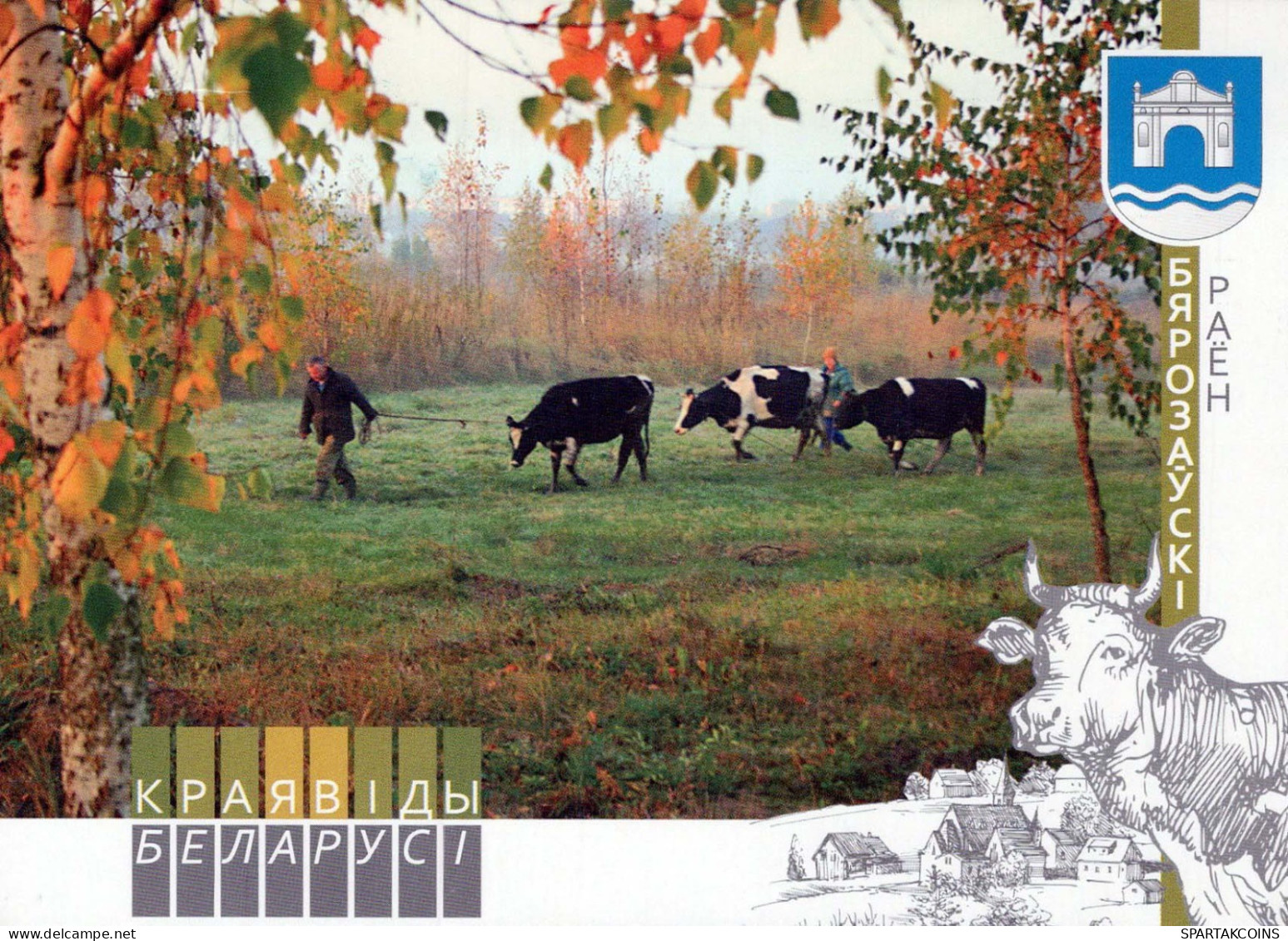 COW Animals Vintage Postcard CPSM #PBR789.A - Kühe