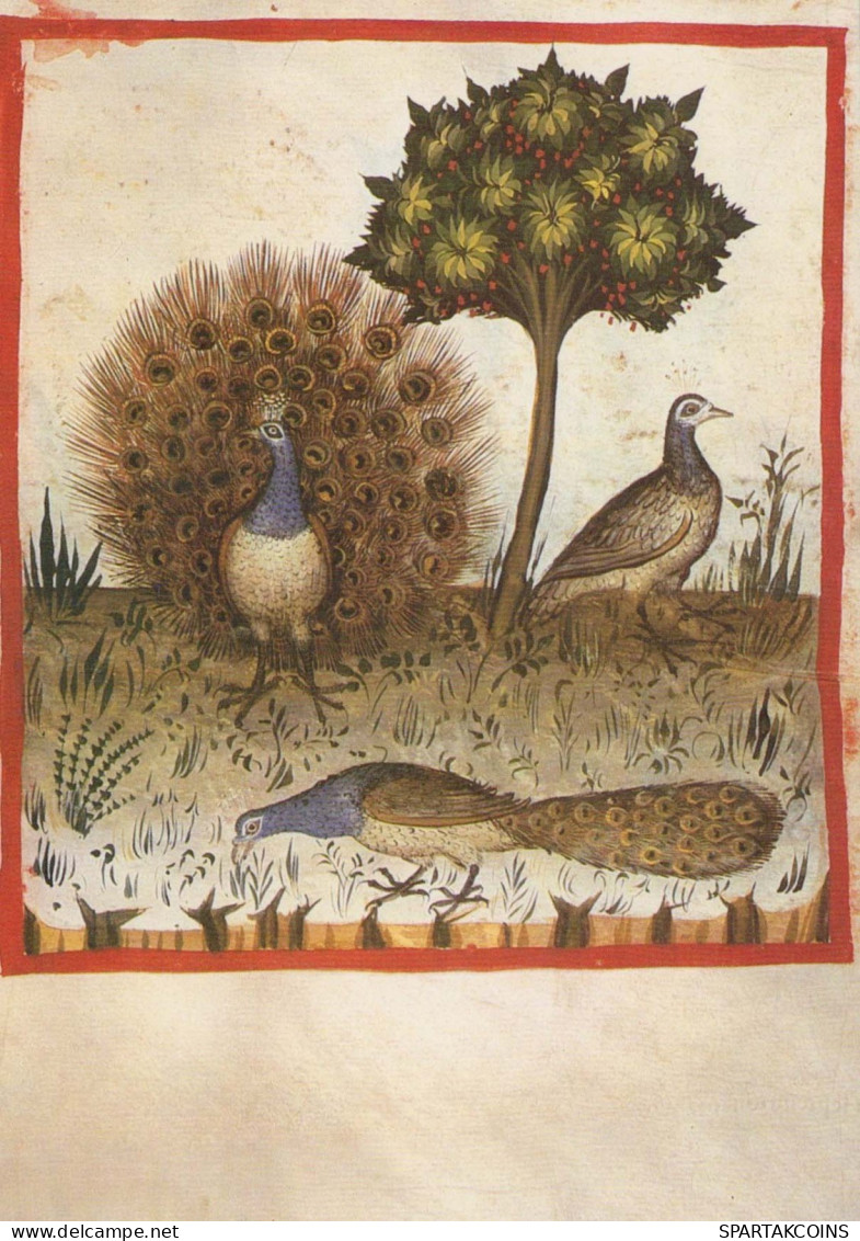 UCCELLO Animale Vintage Cartolina CPSM #PBR456.A - Oiseaux