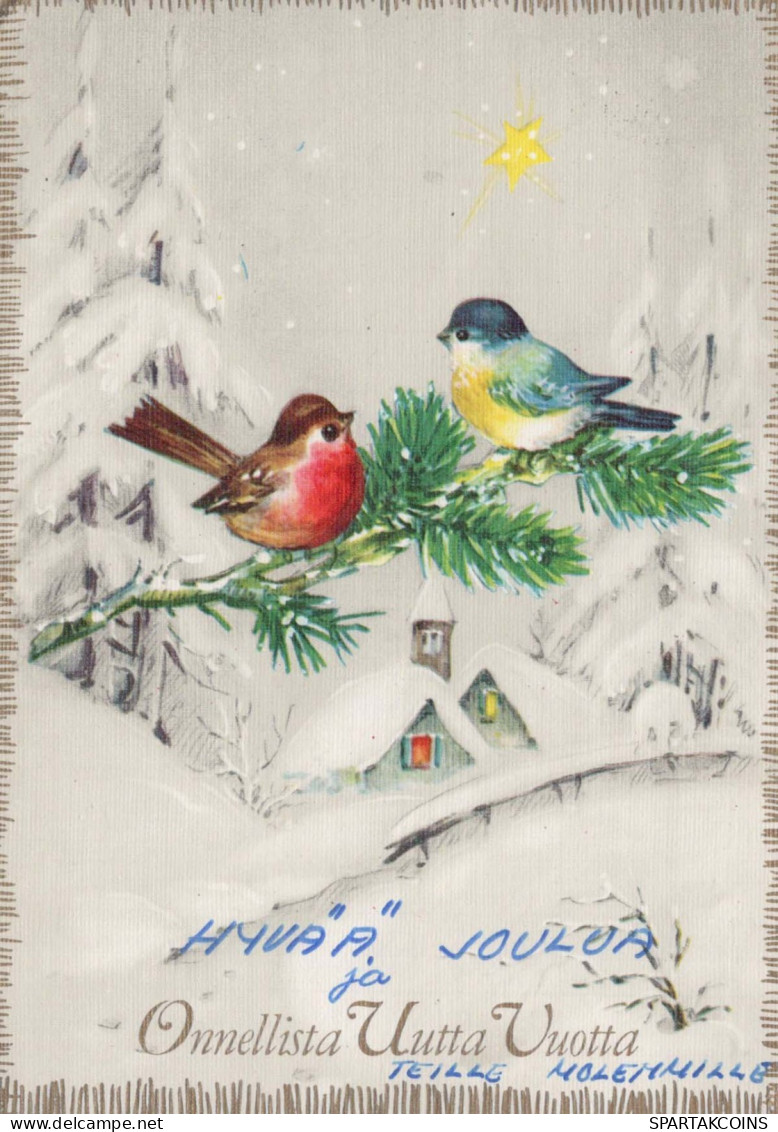 PÁJARO Animales Vintage Tarjeta Postal CPSM #PBR400.A - Oiseaux