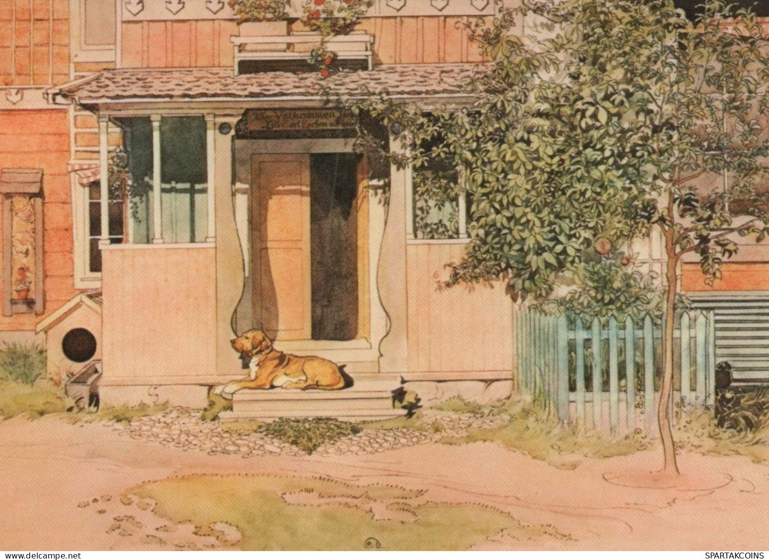 DOG Animals Vintage Postcard CPSM #PBQ528.A - Dogs