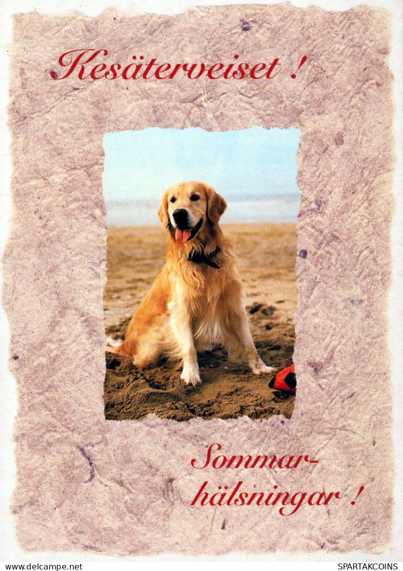 HUND Tier Vintage Ansichtskarte Postkarte CPSM #PBQ527.A - Dogs