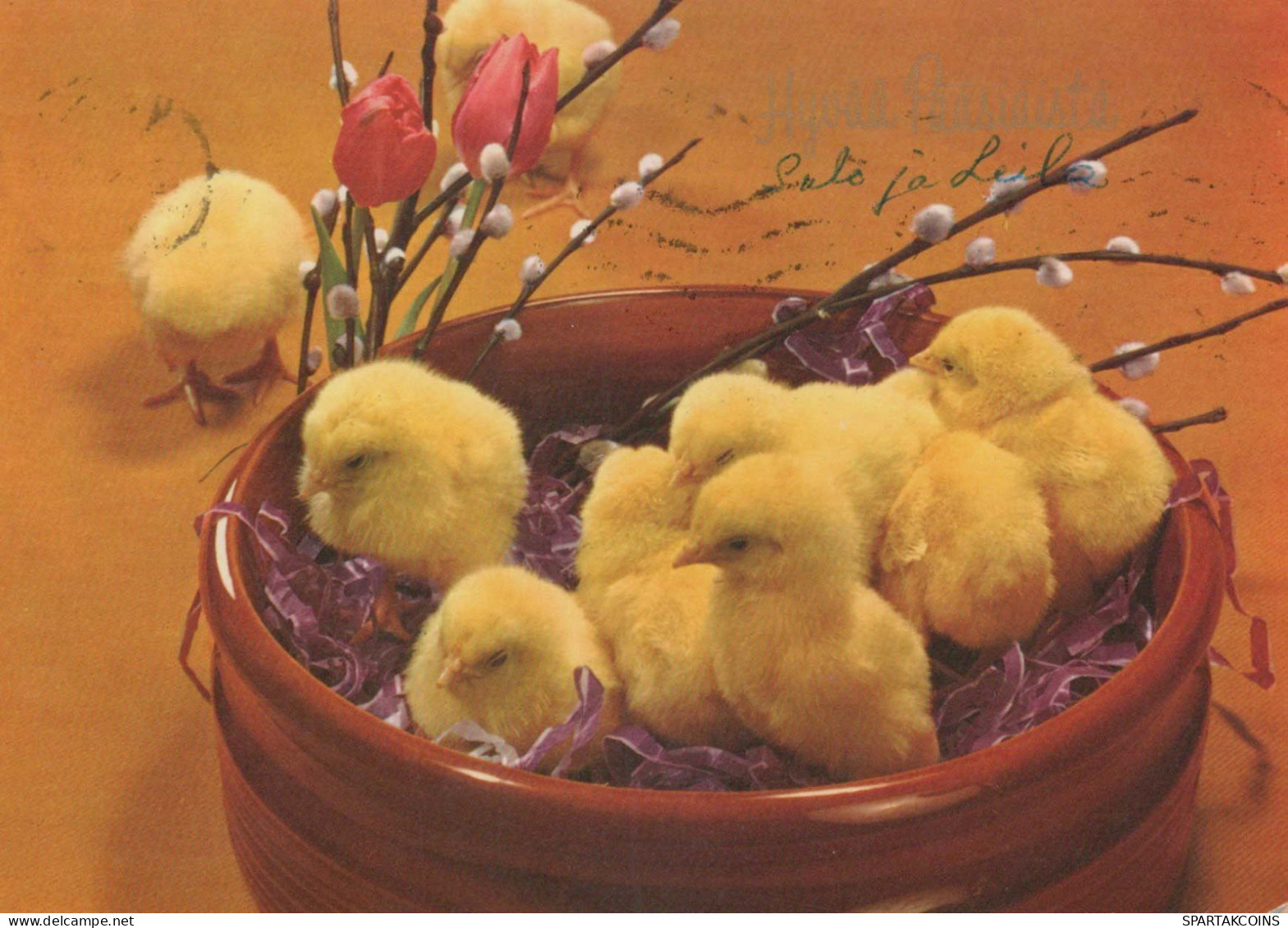 PÂQUES POULET Vintage Carte Postale CPSM #PBO949.A - Easter