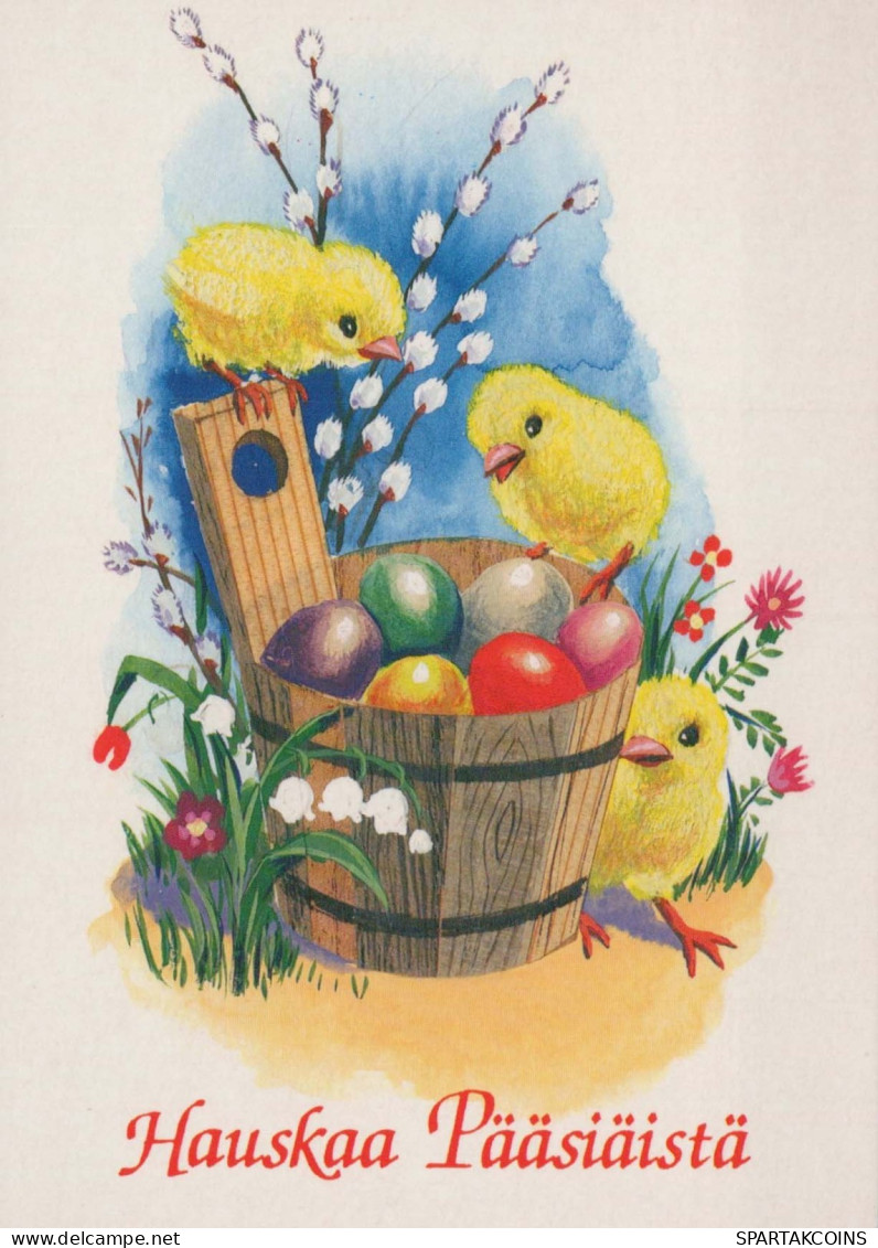 PÂQUES POULET ŒUF Vintage Carte Postale CPSM #PBO804.A - Easter