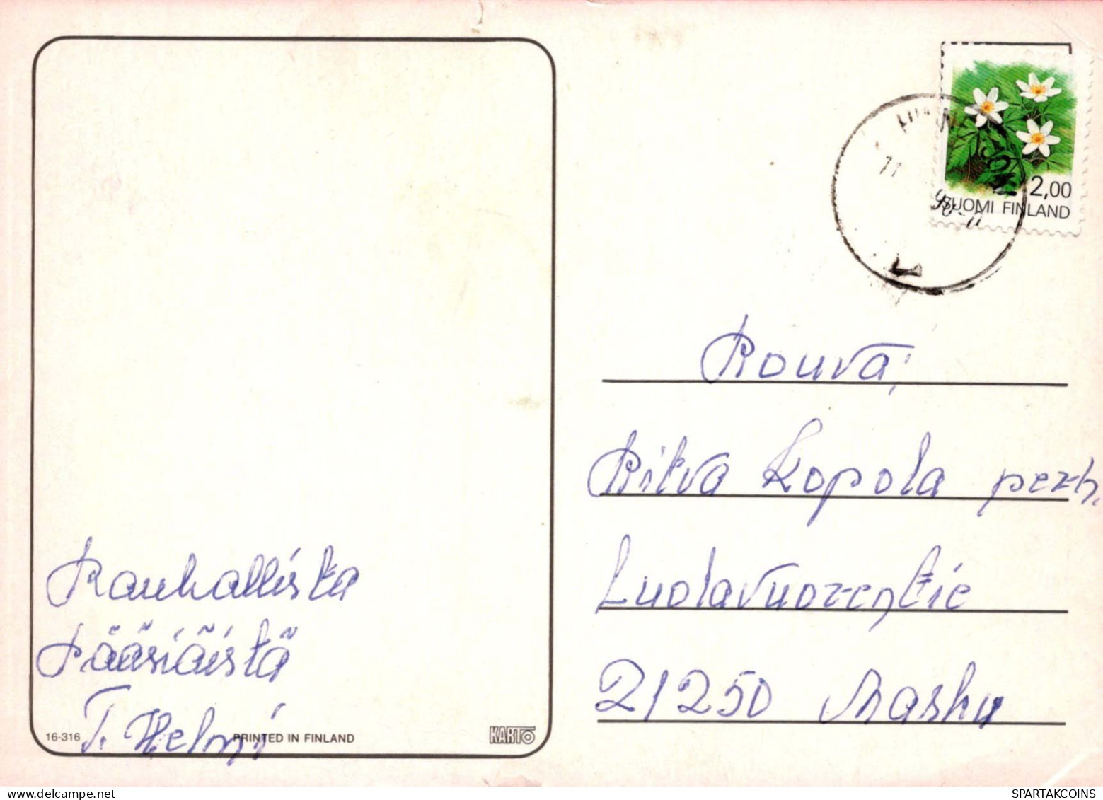 EASTER RABBIT Vintage Postcard CPSM #PBO501.A - Pâques