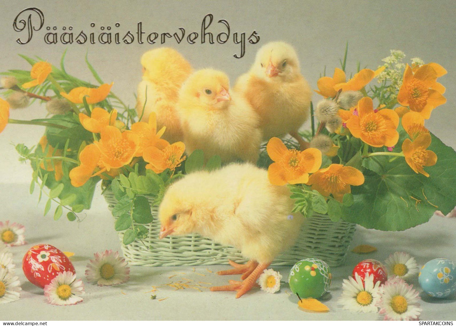 PASCUA POLLO Vintage Tarjeta Postal CPSM #PBO972.A - Easter