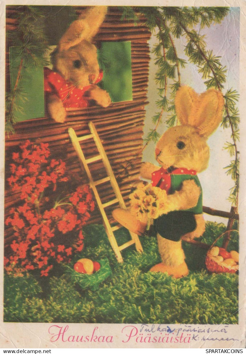 PÂQUES LAPIN Vintage Carte Postale CPSM #PBO519.A - Easter