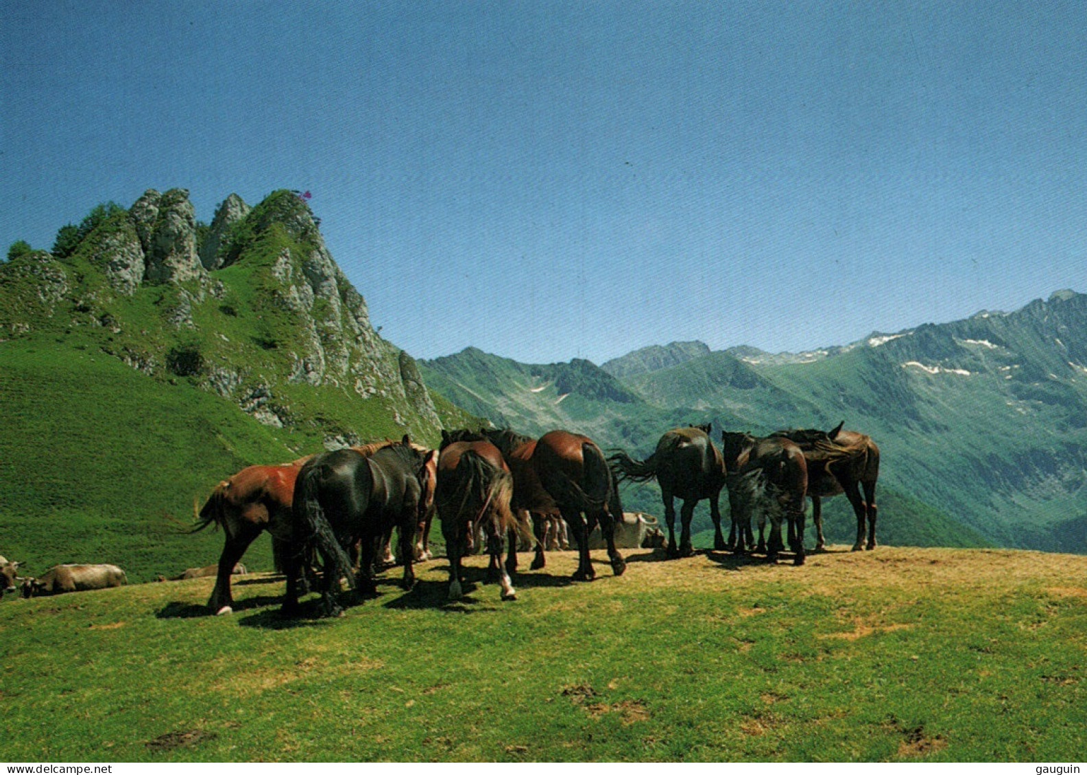 CPM - CHEVAL - Col D'AGNES / ARIÈGE (chevaux Sauvages)  ... Edition Apa-Poux - Chevaux