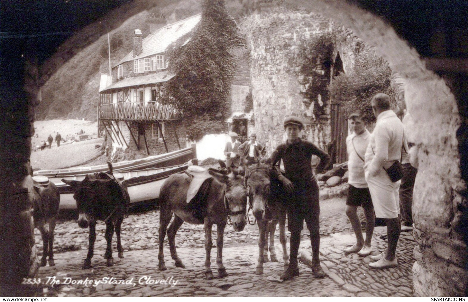 BURRO Animales Vintage Antiguo CPA Tarjeta Postal #PAA355.A - Donkeys