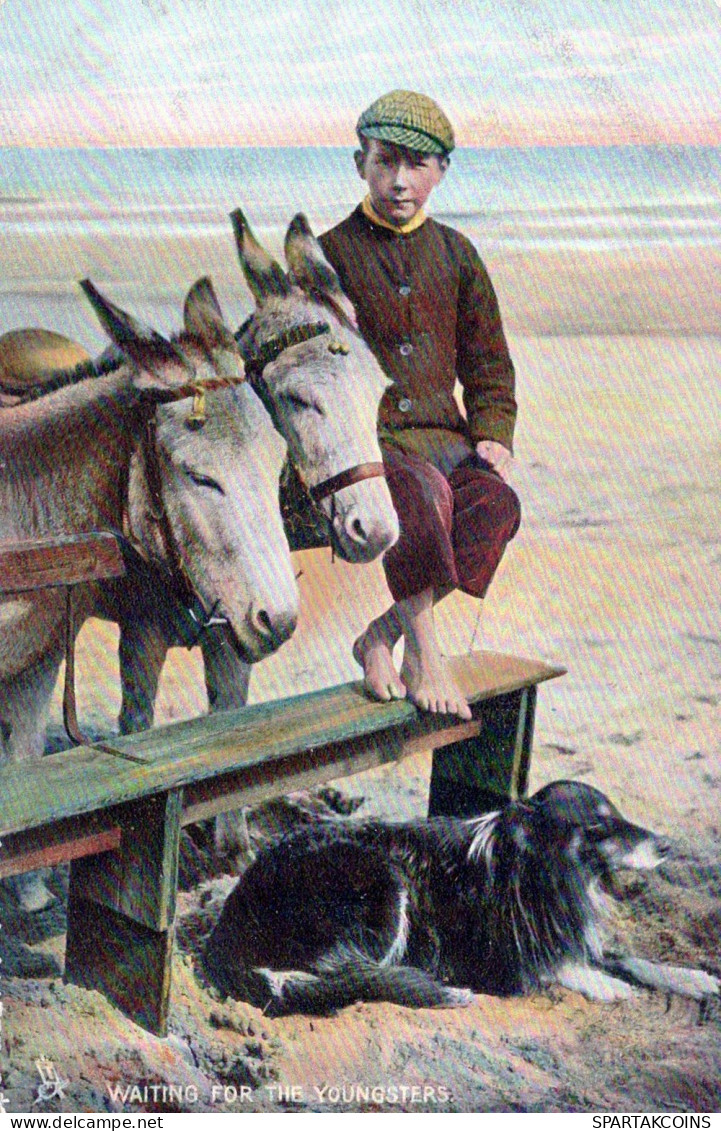 ESEL Tiere Vintage Antik Alt CPA Ansichtskarte Postkarte #PAA277.A - Ezels