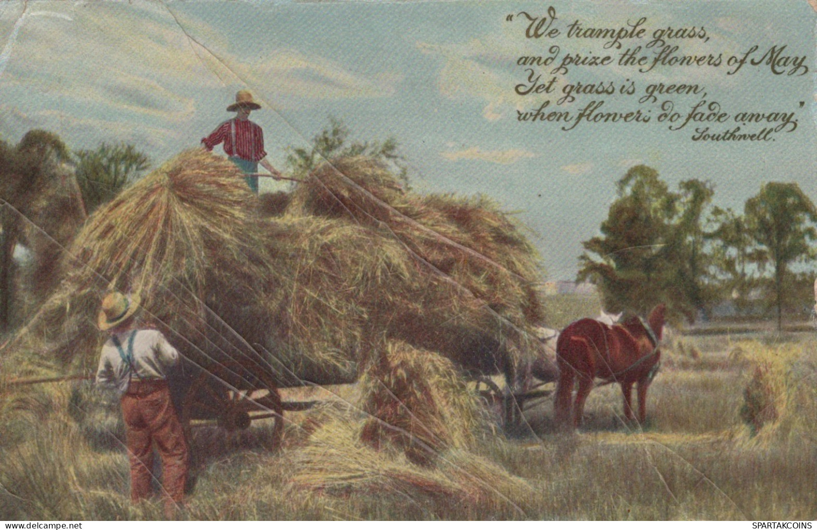 ÂNE Animaux Vintage Antique CPA Carte Postale #PAA146.A - Donkeys