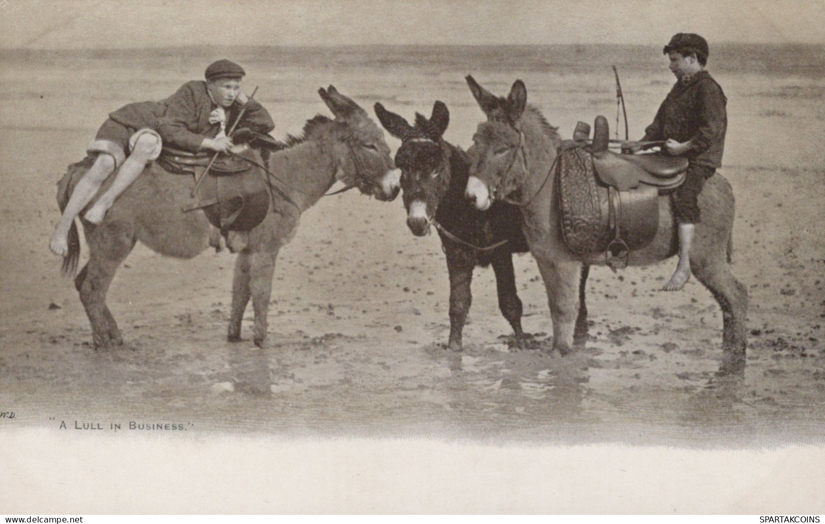 ÂNE Animaux Vintage Antique CPA Carte Postale #PAA071.A - Donkeys