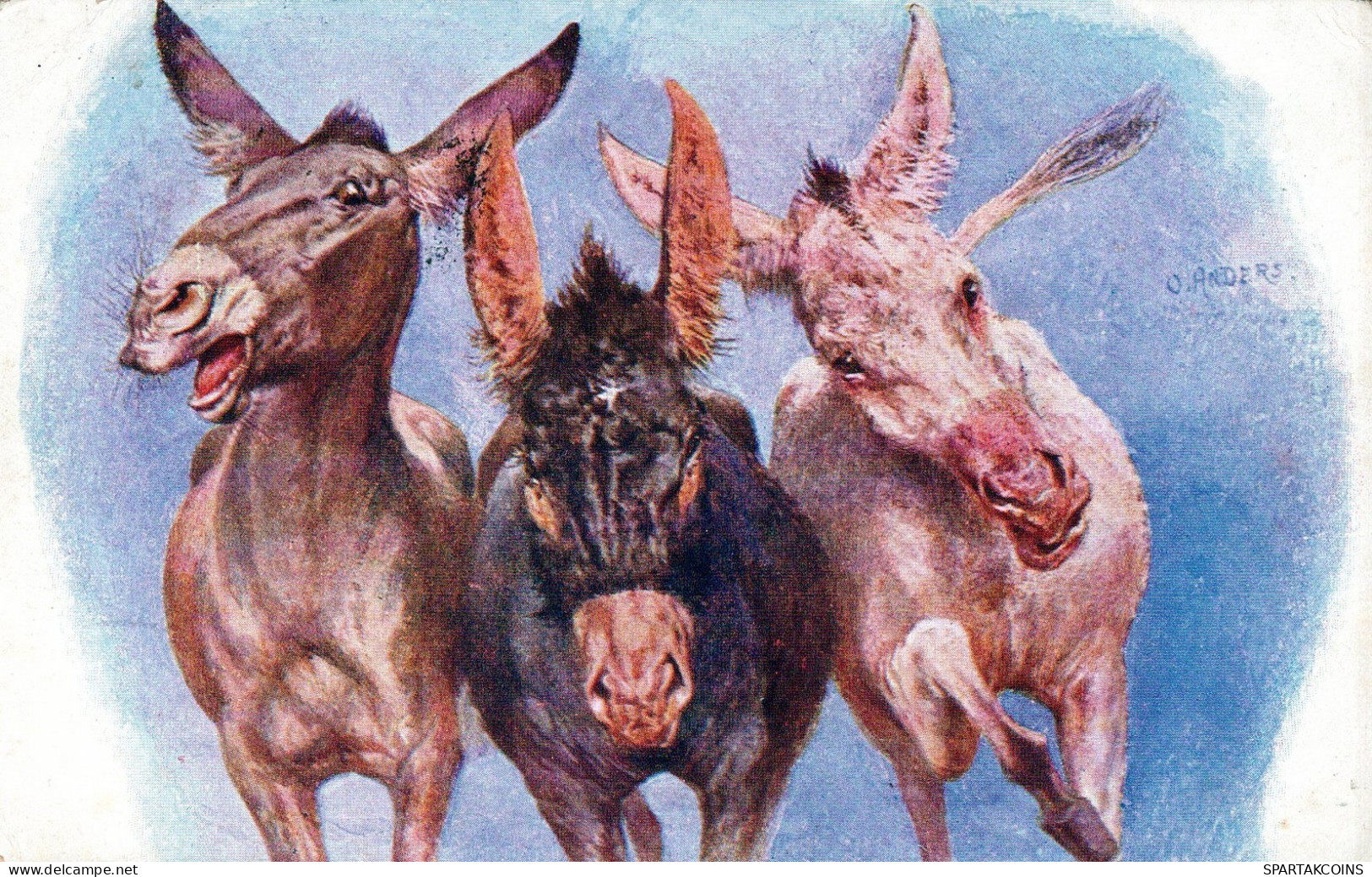 BURRO Animales Vintage Antiguo CPA Tarjeta Postal #PAA132.A - Donkeys