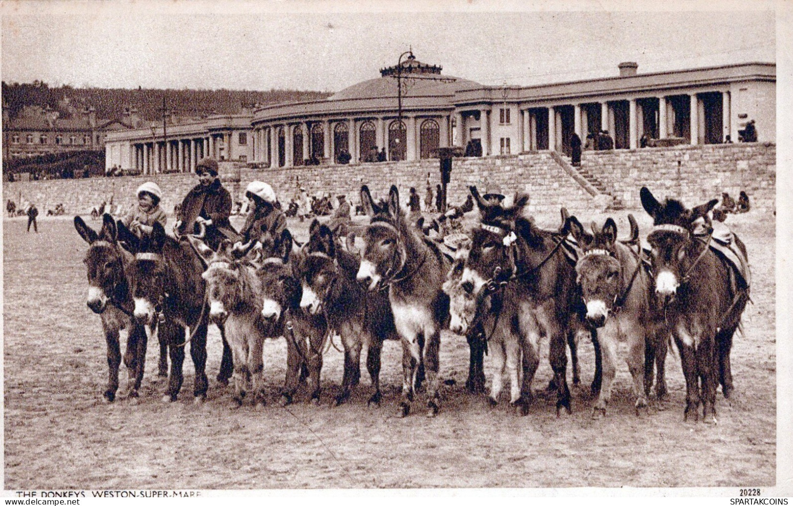 BURRO Animales Vintage Antiguo CPA Tarjeta Postal #PAA059.A - Donkeys