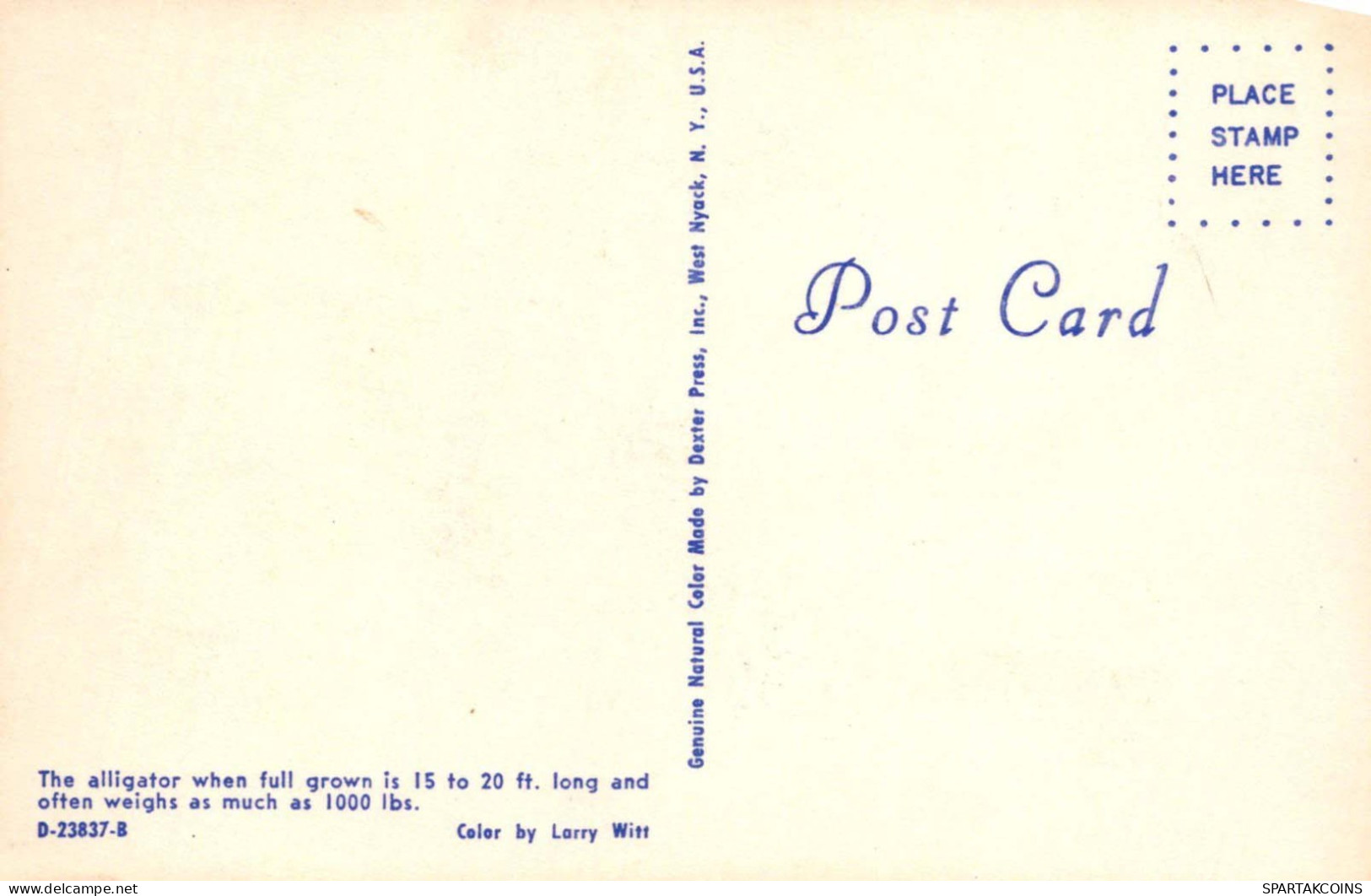 CROCODILE Vintage Postcard CPSMPF #PKG979.A - Otros & Sin Clasificación