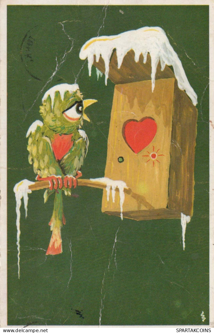 PÁJARO Animales Vintage Tarjeta Postal CPA #PKE807.A - Pájaros